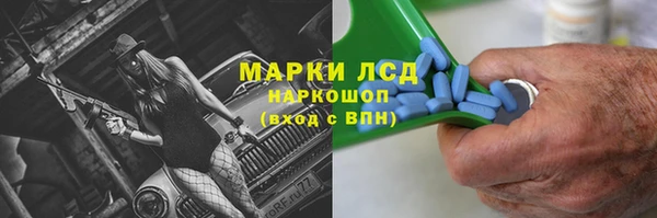 индика Верея