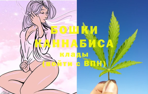 индика Верея