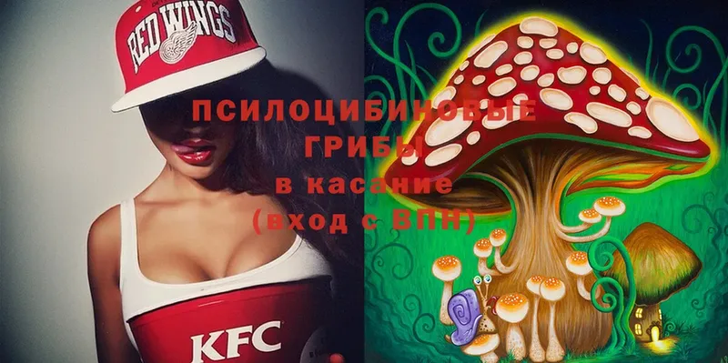 Галлюциногенные грибы Magic Shrooms  Искитим 